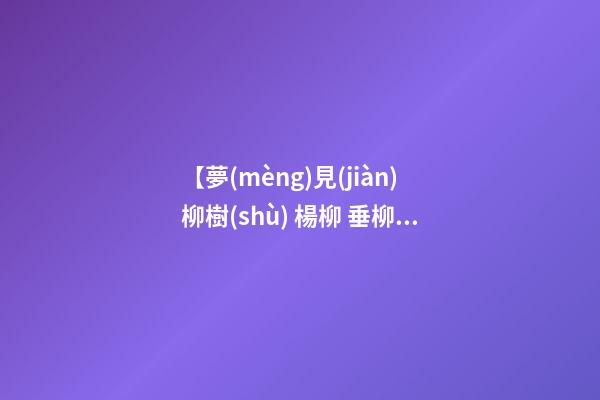 【夢(mèng)見(jiàn)柳樹(shù) 楊柳 垂柳】